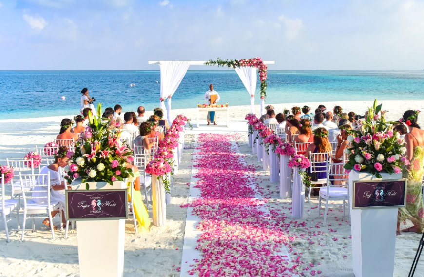 The Ultimate Guide to Choosing the Best Wedding Resorts in Bangalore