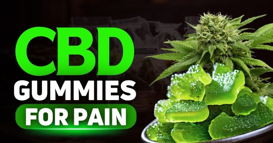 SereniLeaf CBD Gummies – Complete Guide to Benefits, Dosage, and Results