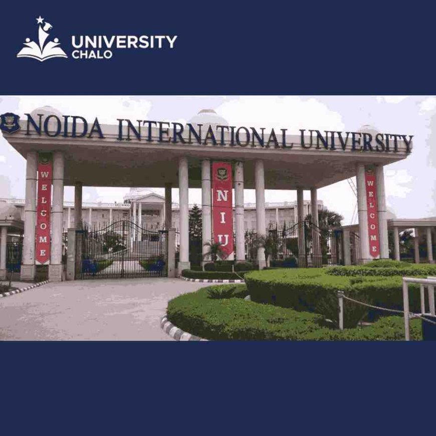 Noida International University: A Leader in Student-Focused Education