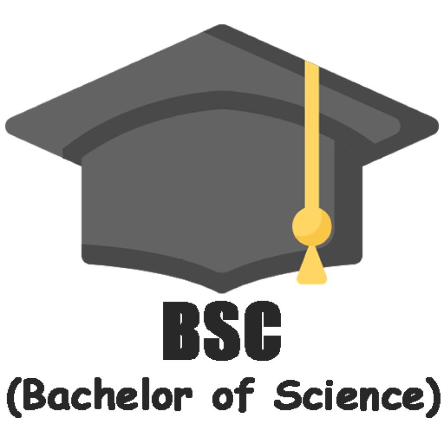 How a BSc Degree Can Kickstart Your Journey