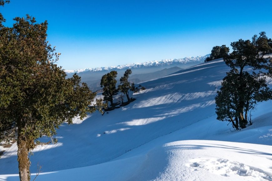 The Cost of Hiring a Guide for Nag Tibba: Is It Worth It?