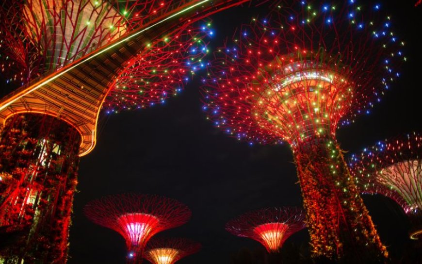 Best 6 Activities to Do in Singapore at Night