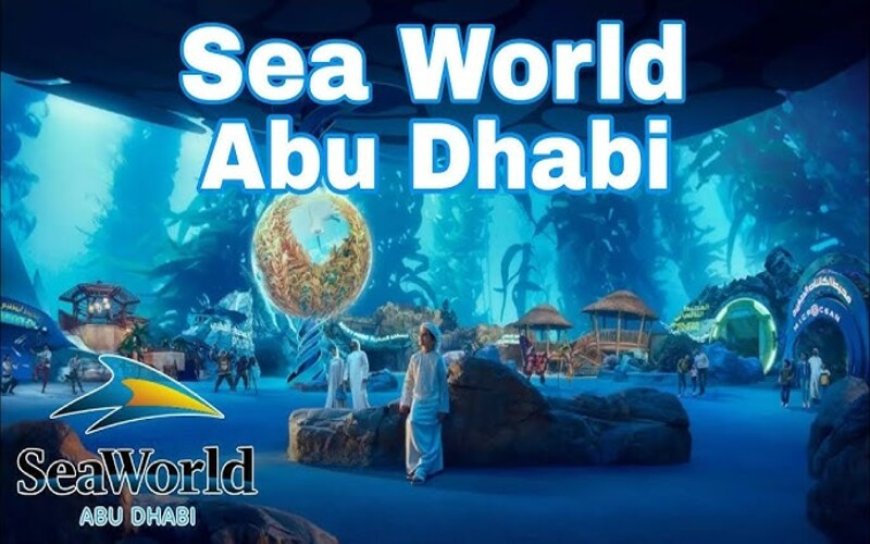 Top Experiences for Families at SeaWorld Abu Dhabi