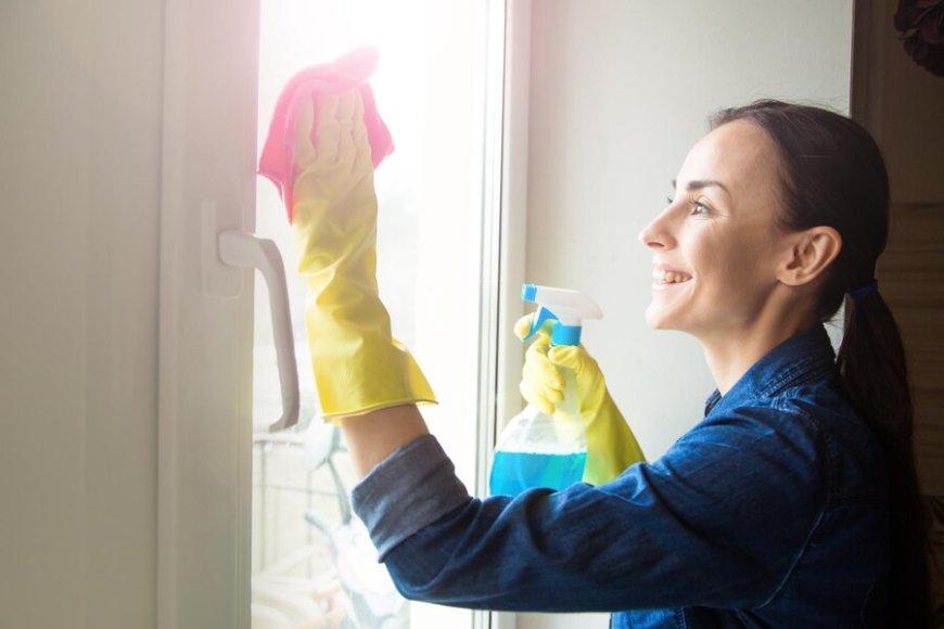 Enhance Your Property's Curb Appeal with Professional Window Cleaning