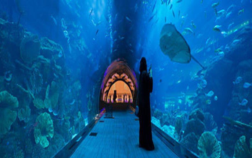 Top Things You Didn’t Know About Dubai Mall Aquarium