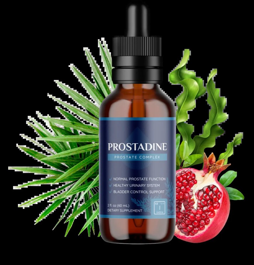 Prostadine for Prostate Health: How This Natural Formula Can Make a Difference