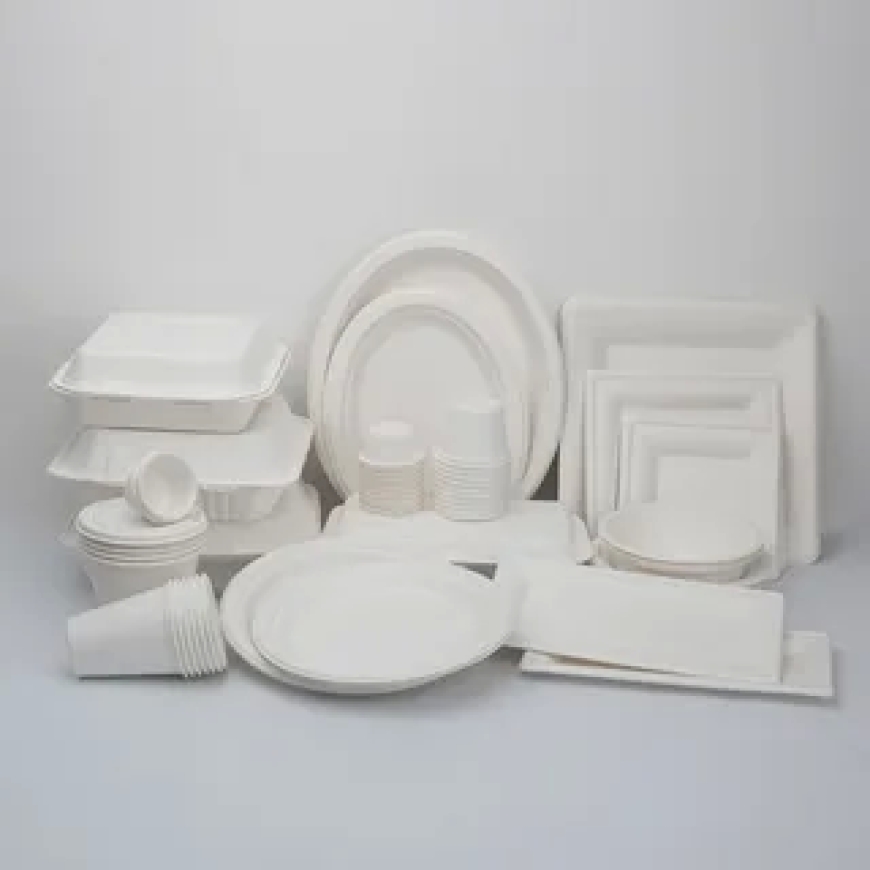 The Most Important Attributes of Molded Pulp for Packaging Solutions