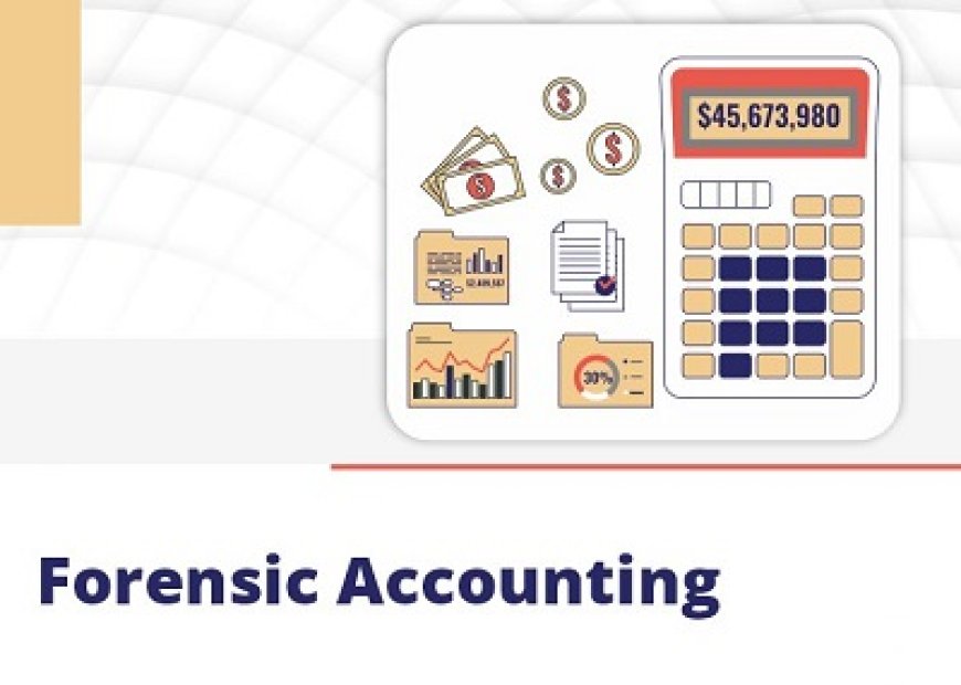 Launch Your Career in Forensic Accounting with a Diploma