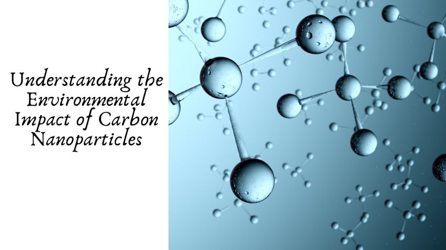 Understanding the Environmental Impact of Carbon Nanoparticles