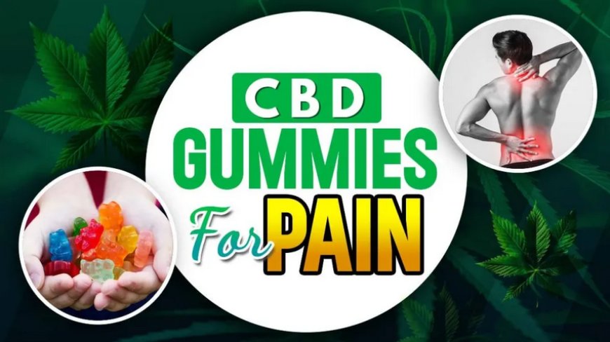 Colorado Botanicals CBD Gummies: Support Your Health With CBD!