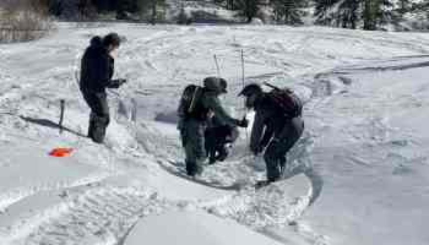 Avalanche Education Colorado: Expert Training & Resources