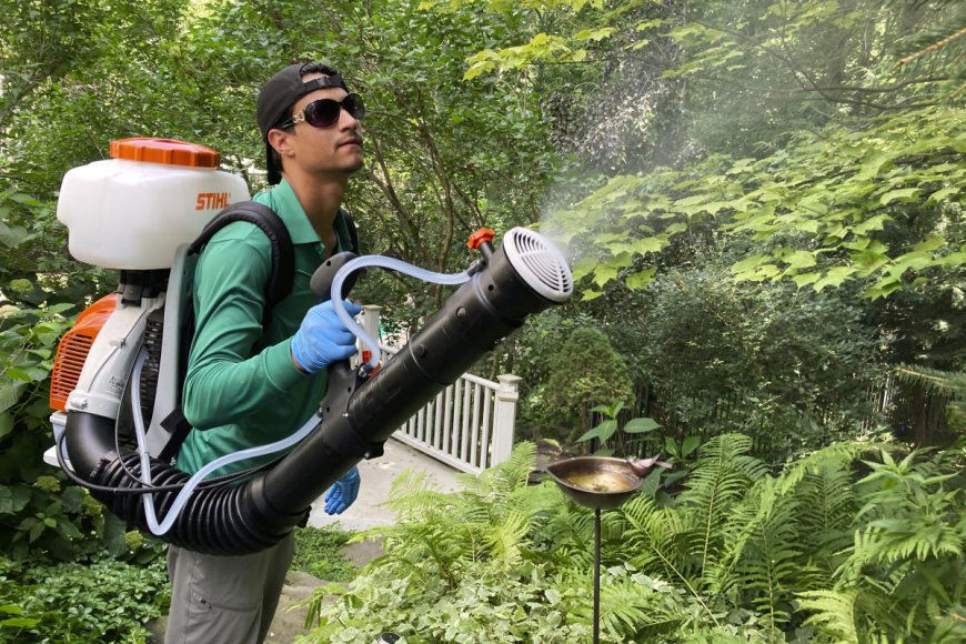 Looking for Mosquito Spray Near Me? Get Reliable Service Today!