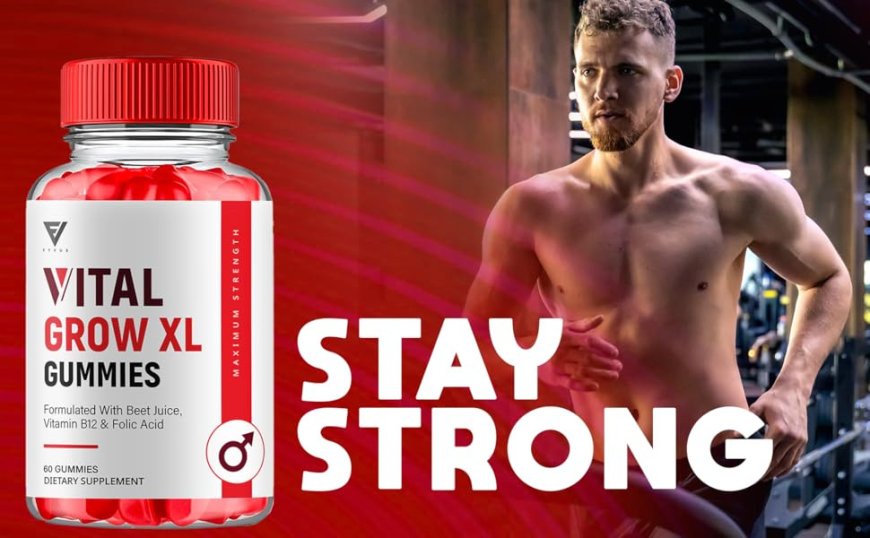 The Secret to Energy and Endurance: Vital Grow XL Gummies Explained