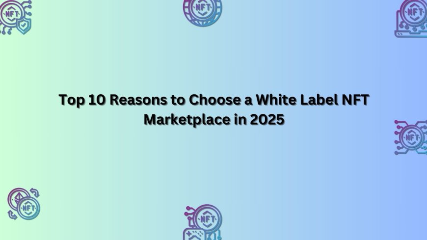 Top 10 Reasons to Choose a White Label NFT Marketplace in 2025