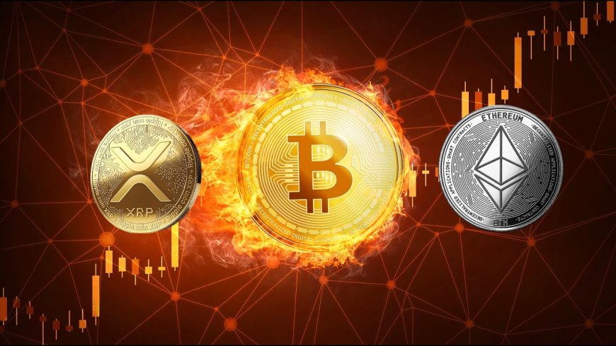 CEX vs. DEX: Choosing the Right Crypto Exchange for 2025