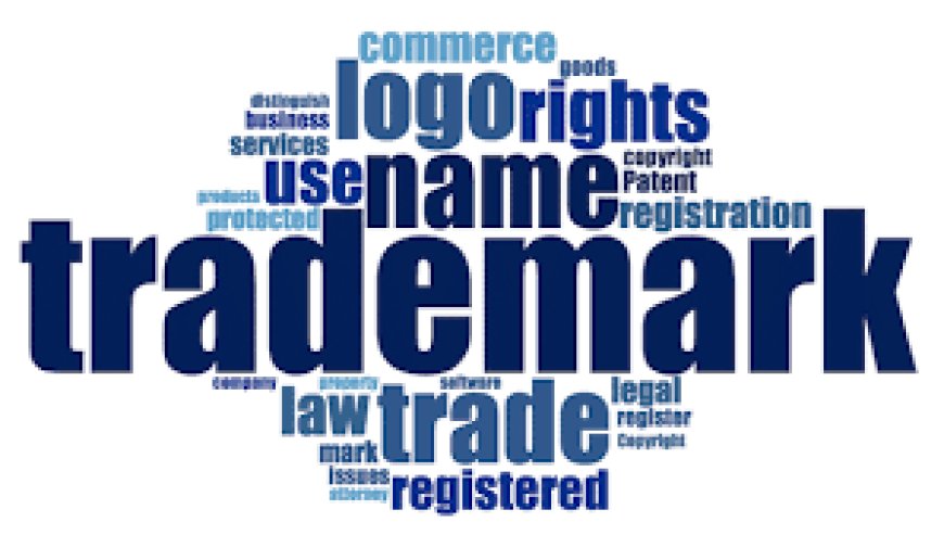 Trademark Registration Search: The Key to Protecting Your Brand