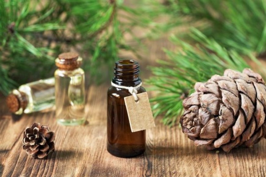 The Timeless Benefits of Cedarwood: Unlocking the Power of Pure Cedar Oil