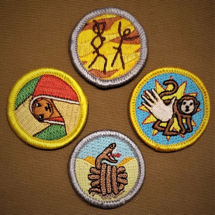 Everything You Need to Know About SCOUT PATCHES