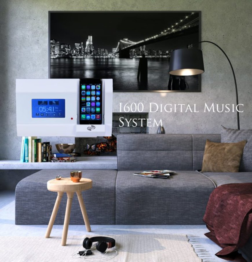 Step-by-Step Guide to Installing a Whole Home Stereo System