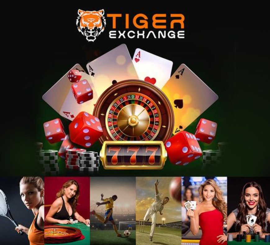 Is Creating an Account on Tiger Exchange Easy?