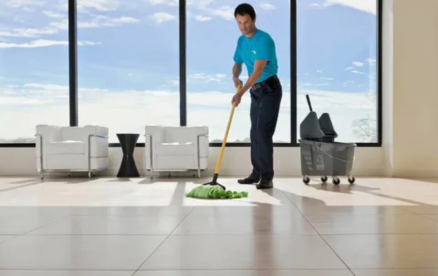 Top Best Upholstery Cleaning Calgary Ultimate Guide to Upholstery Care