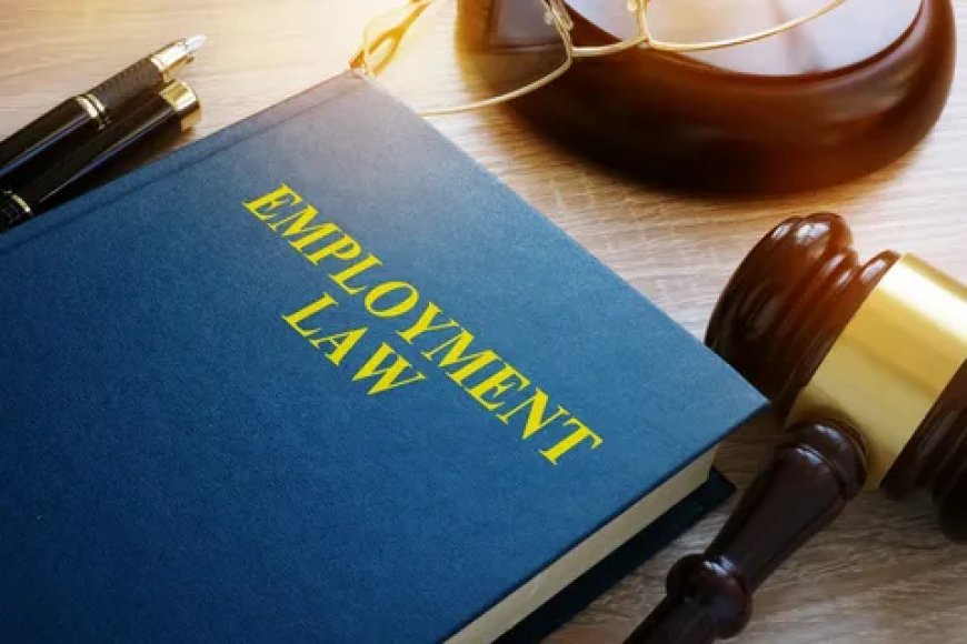 Find the Best Employment Lawyers in Toronto with Dharsi Law