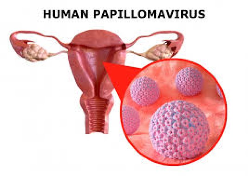 Human Papillomavirus (HPV) Drug Pipeline Analysis