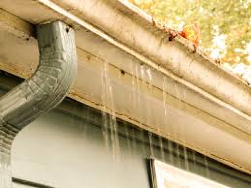 How Rain Gutters Protect Your Home From Water Damage