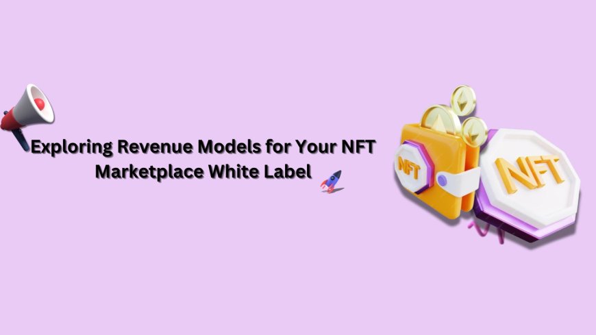 Exploring Revenue Models for Your NFT Marketplace White Label