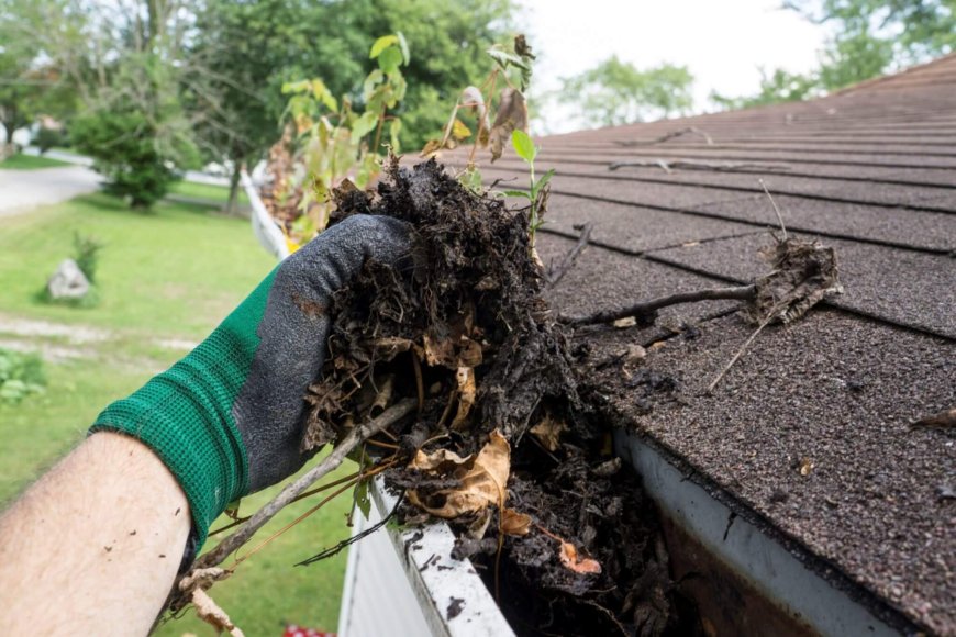 Reliable Commercial Gutter Cleaning in Sydney: Choose First Choice