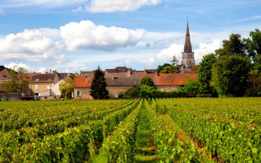 5 Lesser-Known French Wine Regions worth Discovering