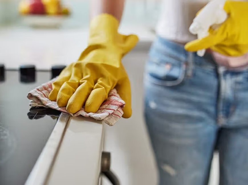 Affordable and Trusted Home Cleaning Services Nearby Seattle