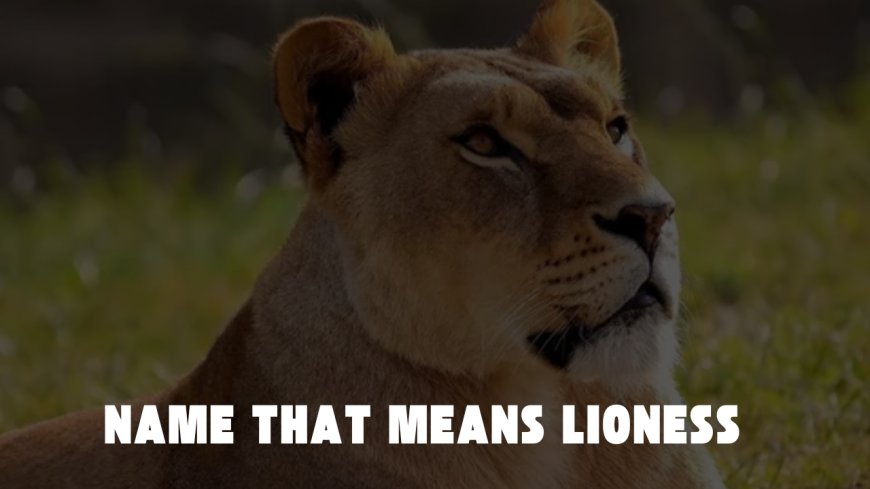 Unraveling the "Name that Means Lioness" Clue: A Deep Dive into the NYT Crossword