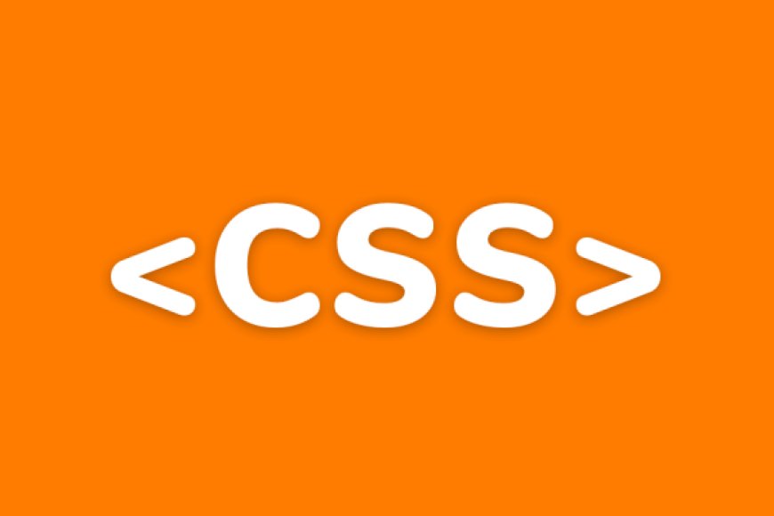 What to Ask When Hiring a CSS Developer in San Francisco