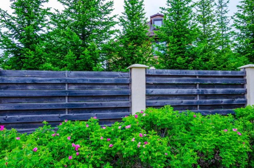 Fencing Services Near Me: Discover the Best Fencing Solutions in Columbia Falls, Montana