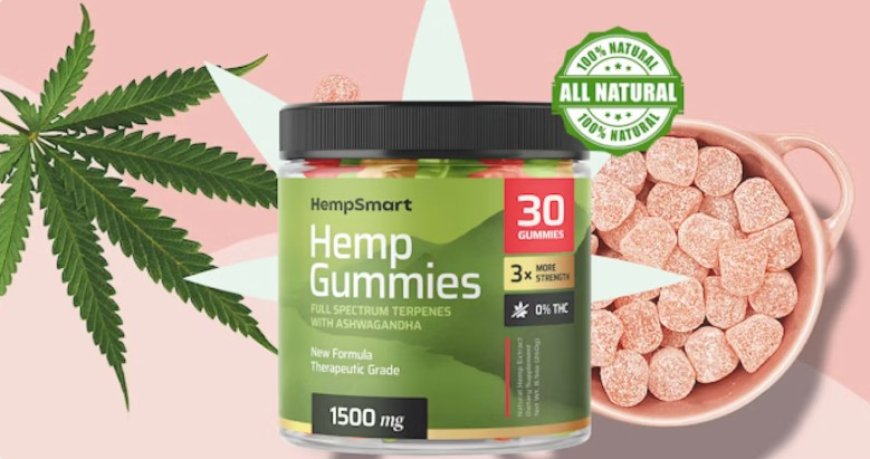 Smart Hemp Gummies: A New Zealand Wellness Revolution