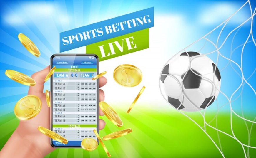 Top 5 Cricket Betting ID Platforms for 2024 – Get Instant Sign-Up Now