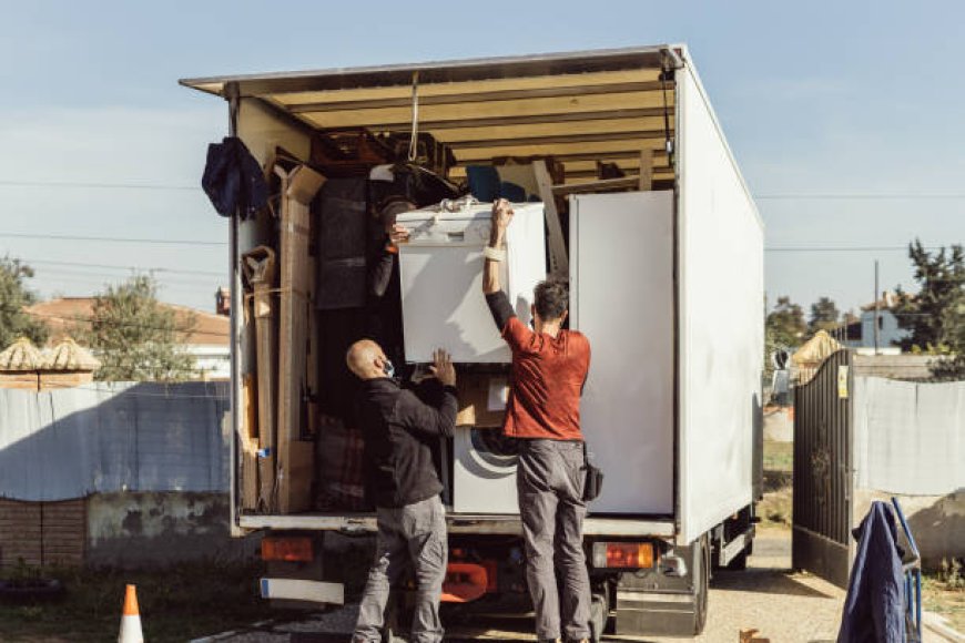 Expert Appliance Moving Services by Silver Fox Senior Movers