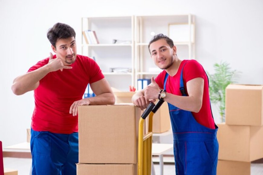 Best Moving Service with Silver Fox Senior Movers in Omaha