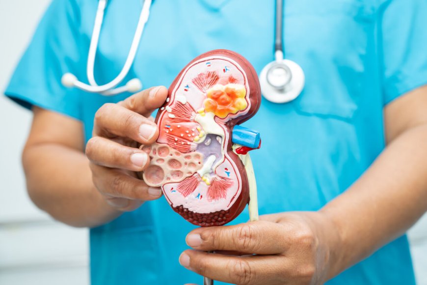 Kidney Disease Prevention: Expert Tips from Nephrologists in Guwahati