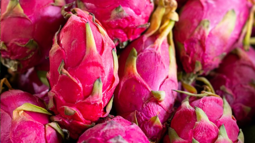 The Australia Dragon Fruit Market: Growth, Trends, and Future Outlook