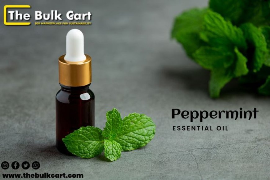 Bulk Peppermint Essential Oil Supplier in USA