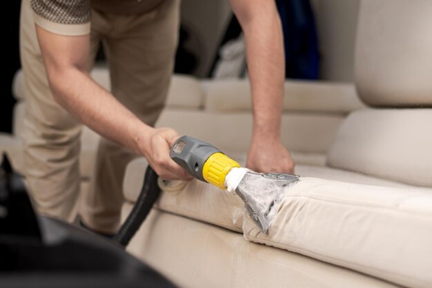 Upholstery Cleaner Services in Beaverton with Praise Cleaning Services