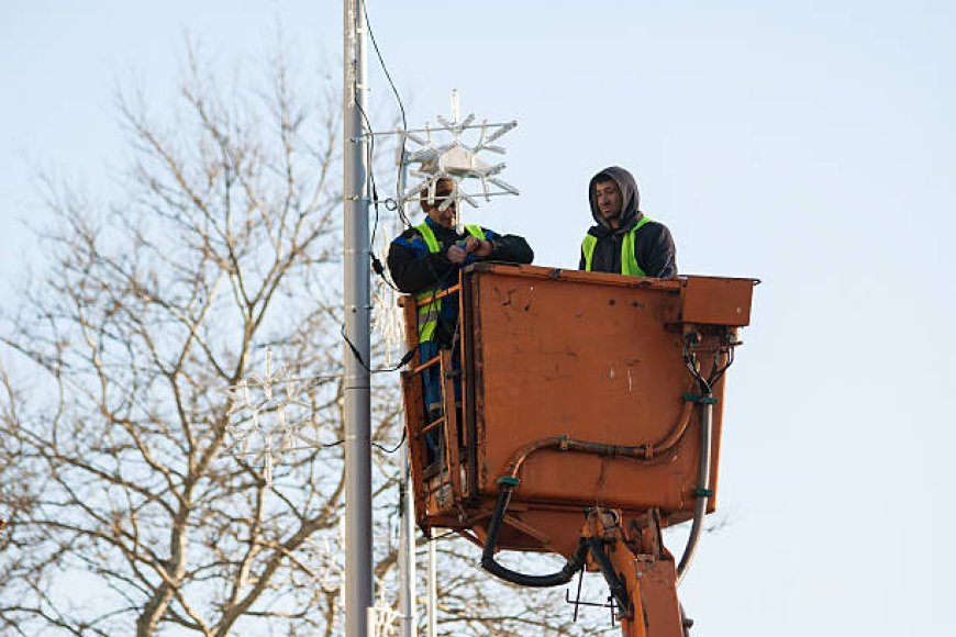 Unlock the Full Potential of Your Trees with Specialized Care