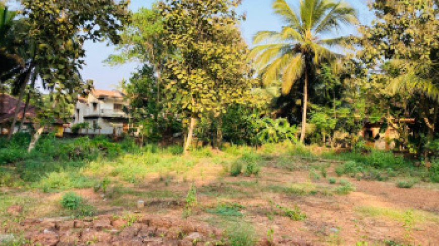 Breathtaking Sea-Facing Land for Sale in Goa