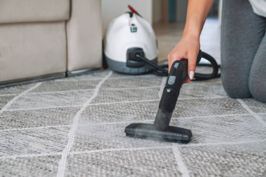 The Ultimate Guide to Finding the Best Carpet Steam Cleaner Near Me