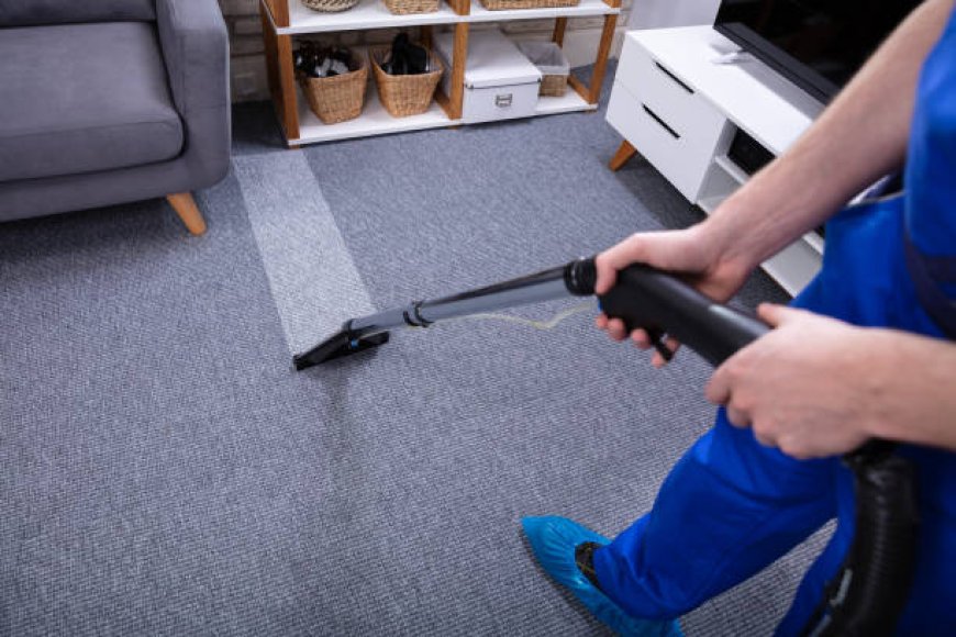 Carpet Cleaning Near Me Services by Praise Cleaning Services