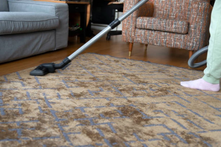 Carpet Cleaning Services Near Me with Praise Cleaning Services