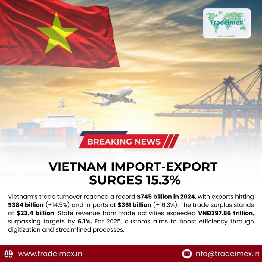 VN’s Import-Export Surges 15.3% in 2024: A Record-Breaking Year