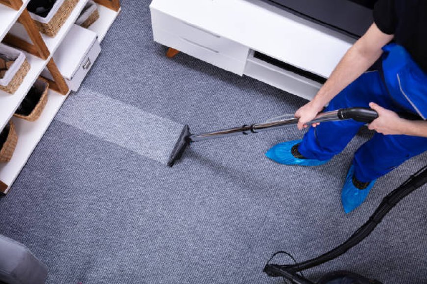 Revitalize Your Living Spaces with the Best Carpet Cleaning Company Near Me